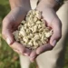 Happy Plant Protein’s Technology to be Deployed in a First-of-its-Kind Agriculture-Based Production Facility in Latvia and Europe