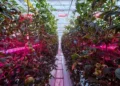 Turn Sunshine into Synergy and Unlock Higher Yields Year-round