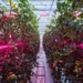 Turn Sunshine into Synergy and Unlock Higher Yields Year-round