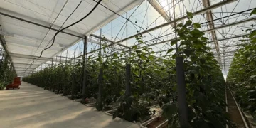 J. Huete Greenhouses Completes the Construction of One of the Most Technologically Advanced Greenhouses in Almería