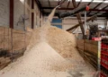 UAE’S Unsold Bread Could Help Reduce Reliance on Imported Livestock Feed