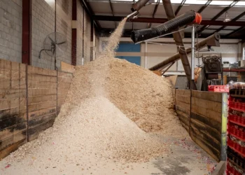 UAE’S Unsold Bread Could Help Reduce Reliance on Imported Livestock Feed