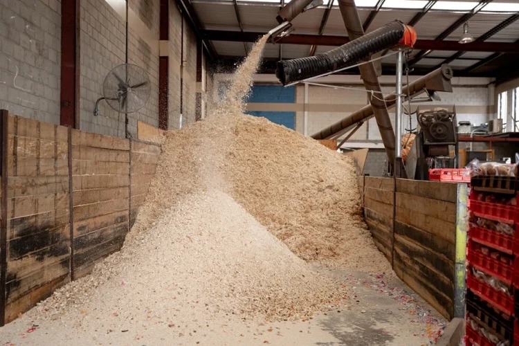 UAE’S Unsold Bread Could Help Reduce Reliance on Imported Livestock Feed