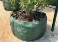 Growing a Greener Tomorrow: How GrowinBag™ Supports Sustainable Horticulture in the Gulf’s Toughest Climate