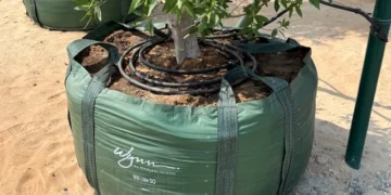 Growing a Greener Tomorrow: How GrowinBag™ Supports Sustainable Horticulture in the Gulf’s Toughest Climate