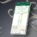 Koppert launches Timing Expert: a smart decision-support tool for biological crop protection