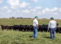 Neogen® Committed to Helping Ranchers, Livestock Producers, and Horse Owners Fight Against New World Screwworm