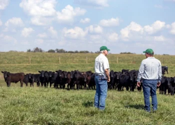 Neogen® Committed to Helping Ranchers, Livestock Producers, and Horse Owners Fight Against New World Screwworm