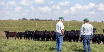 Neogen® Committed to Helping Ranchers, Livestock Producers, and Horse Owners Fight Against New World Screwworm