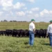 Neogen® Committed to Helping Ranchers, Livestock Producers, and Horse Owners Fight Against New World Screwworm