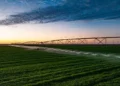 Abu Dhabi’s Al Dahra Publishes Sixth Annual Sustainability Report, Advancing Global Farming Platform