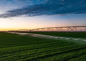 Abu Dhabi’s Al Dahra Publishes Sixth Annual Sustainability Report, Advancing Global Farming Platform