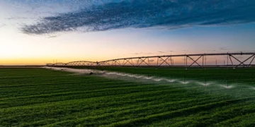 Abu Dhabi’s Al Dahra Publishes Sixth Annual Sustainability Report, Advancing Global Farming Platform