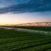 Abu Dhabi’s Al Dahra Publishes Sixth Annual Sustainability Report, Advancing Global Farming Platform