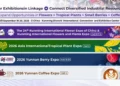 Yunnan Flower Exports Maintain Strong Growth Ahead of IFEX Kunming 2026