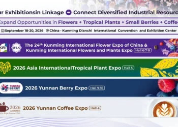 Yunnan Flower Exports Maintain Strong Growth Ahead of IFEX Kunming 2026