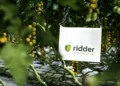 Ridder Expands Possibilities with Hortimax Plus