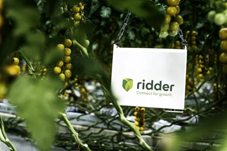 Ridder Expands Possibilities with Hortimax Plus