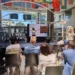 FAO Launches CropSuit App to Help Farmers Grow the Right Crops in the Right Places