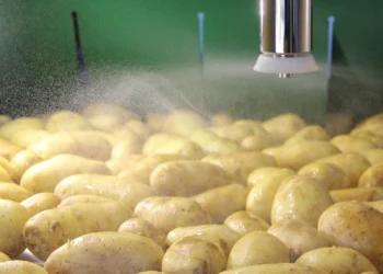 Improving Sustainability and Lowering Costs in Potato Treatment