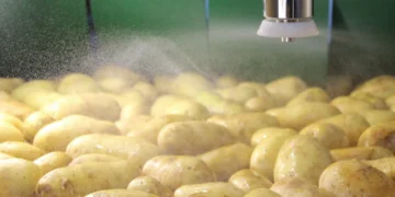 Improving Sustainability and Lowering Costs in Potato Treatment