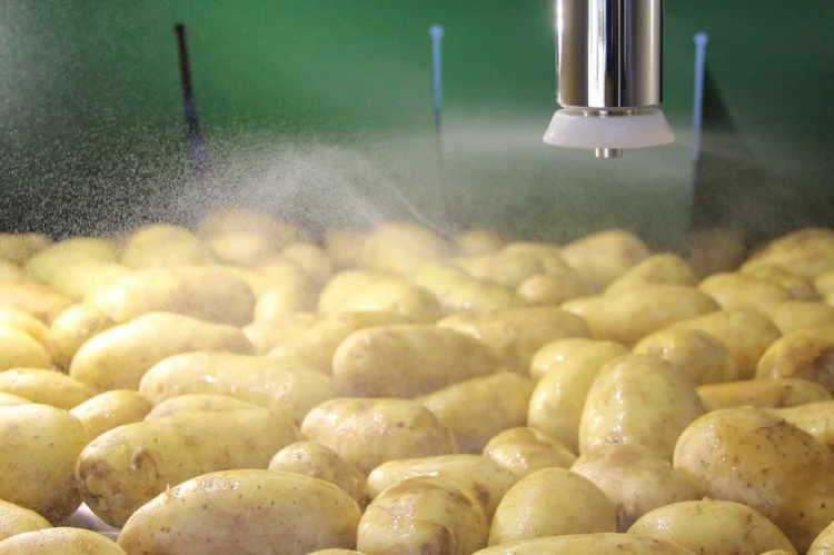 Improving Sustainability and Lowering Costs in Potato Treatment