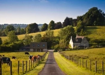 Livestock Keepers Urged to be on High Alert and Consider Vaccination as Bluetongue Cases Rise