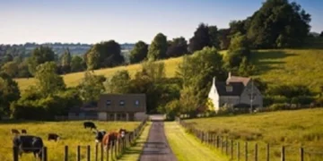 Livestock Keepers Urged to be on High Alert and Consider Vaccination as Bluetongue Cases Rise