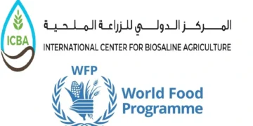 WFP and ICBA Partner to Strengthen Water Governance and Climate-Smart Agriculture for Food Security