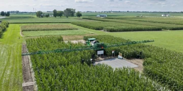 Bayer Advances Combined Seed and Crop Protection Pipeline and Enters Phase of Blockbuster Launches