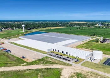 Dalsem Strengthens the GreenV Group