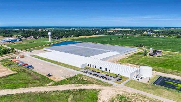 Dalsem Strengthens the GreenV Group