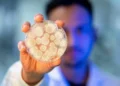 Koppert Launches New Biological Foliar Fungicide Macan™ in Brazil