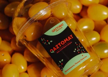 Qaztomat chooses Philips Horticulture LED for 10-ectare expansion in Kazakhstan