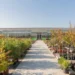 Italian Floriculture and Nursery Production: €3.5 Billion Surpassed in 2025, With Production Value Up 8.1%.