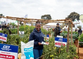 “Grow Eastern Africa” Project Launched to Increase Agricultural Productivity and Climate Resilience