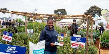 “Grow Eastern Africa” Project Launched to Increase Agricultural Productivity and Climate Resilience