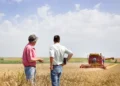 EU and UK Risk Falling Further Behind Global Agricultural Competitors, Weakening Strategic Autonomy