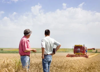 EU and UK Risk Falling Further Behind Global Agricultural Competitors, Weakening Strategic Autonomy