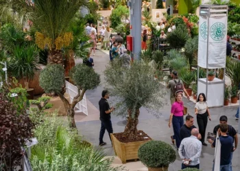 Iberflora and Eurobrico Close Joint Edition with a 5% Increase in Visitors and More New Buyers