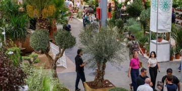 Iberflora and Eurobrico Close Joint Edition with a 5% Increase in Visitors and More New Buyers