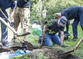 Over 650 Bobcat Employees Support Communities Across Europe, the Middle East and Africa