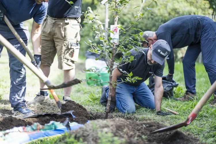 Over 650 Bobcat Employees Support Communities  Across Europe, the Middle East and Africa