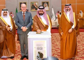 KUBO is Working on a New Greenhouse Horticulture Project in Saudi Arabia